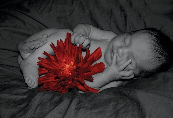 Photo and graphic design by Michelle