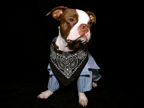 Hallowen 09-Gangster Diego